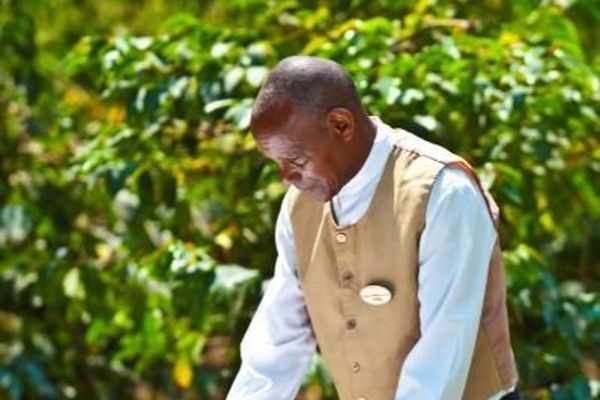 Hotel Arusha Coffee Lodge